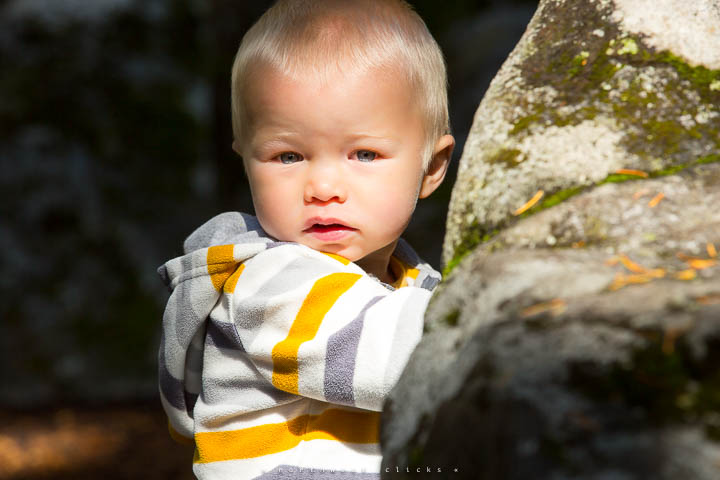 Professional outdoor photoshoot near Sammamish