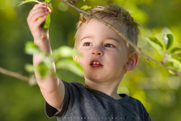 Family and children portraits in Redmond, WA